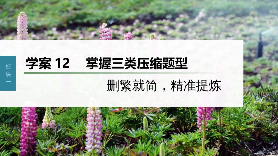 高中语文高考复习板块1 语言策略与技能 学案12　掌握3类压缩题型—删繁就简，精准提炼_第1页