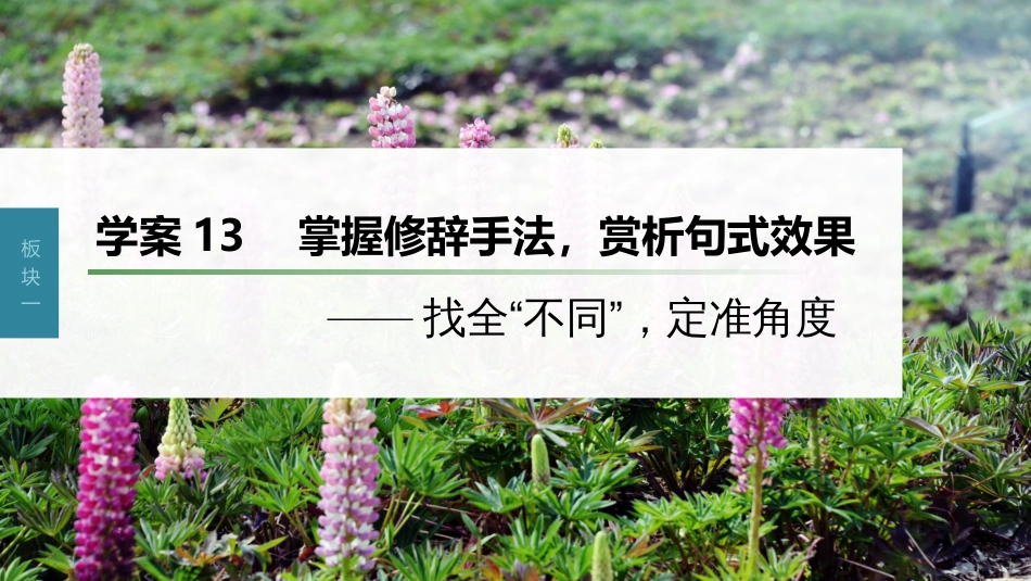 高中语文高考复习板块1 语言策略与技能 学案13　掌握修辞手法，赏析句式效果—找全“不同”，定准角度_第1页