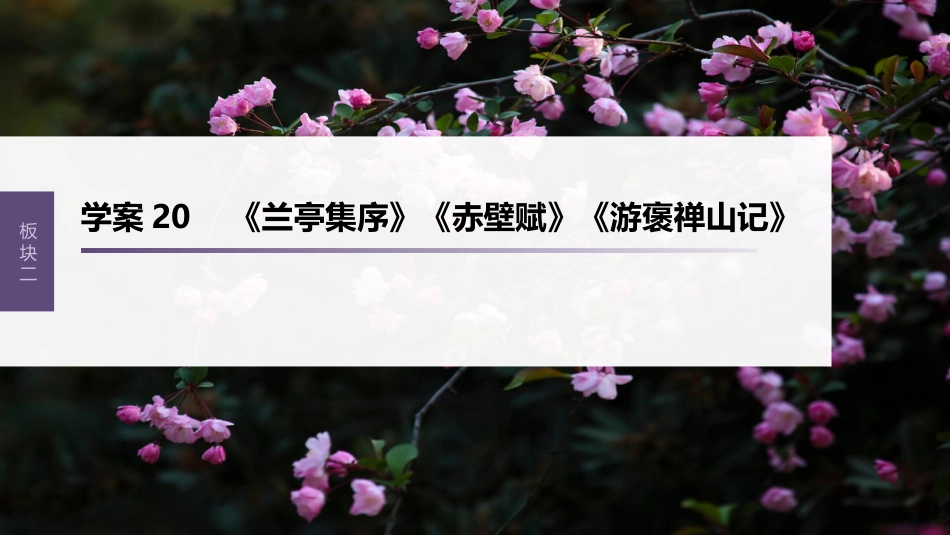 高中语文高考复习板块2 文言文阅读 学案20　《兰亭集序》《赤壁赋》《游褒禅山记》_第1页