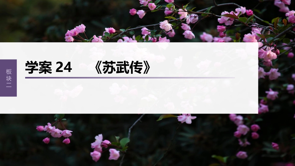 高中语文高考复习板块2 文言文阅读 学案24　《苏武传》_第1页