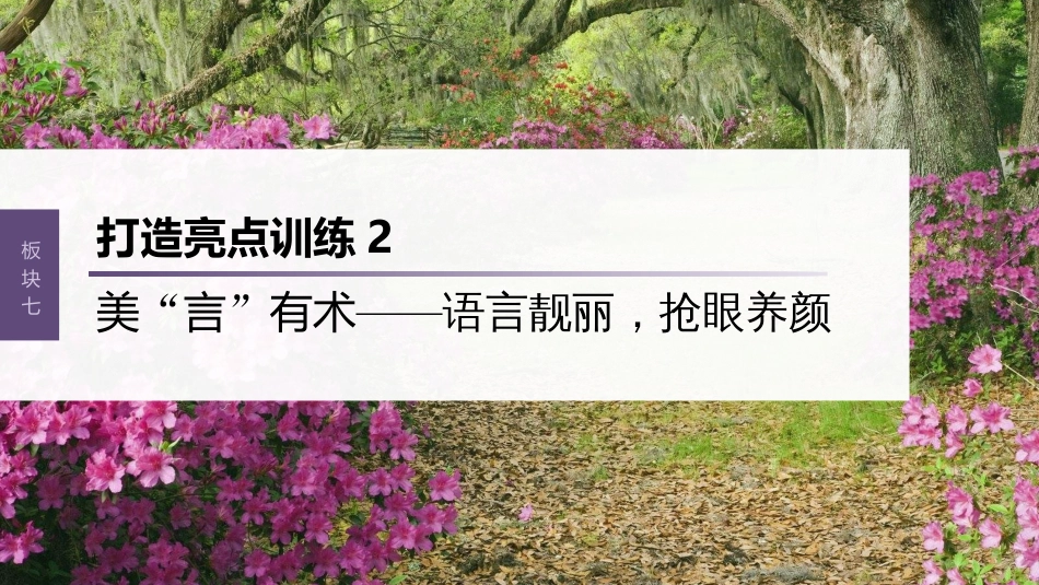 高中语文高考复习板块7 小说阅读 打造亮点训练2　美“言”有术—语言靓丽，抢眼养颜_第1页