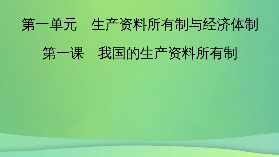 新高考高考政治一轮总复习第一单元第1课我国的生产资料所有制课件部编版必修2(共64张PPT)_第2页