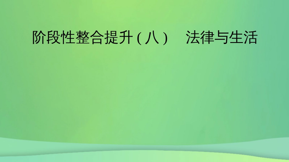 新高考高考政治一轮总复习阶段性整合提升8 法律与生活 课件（21张PPT）_第2页