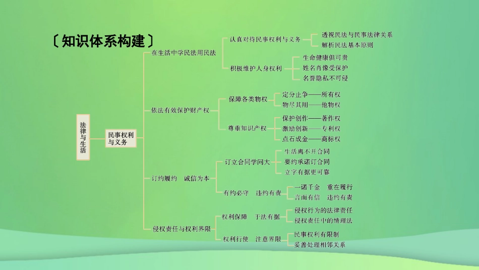 新高考高考政治一轮总复习阶段性整合提升8 法律与生活 课件（21张PPT）_第3页