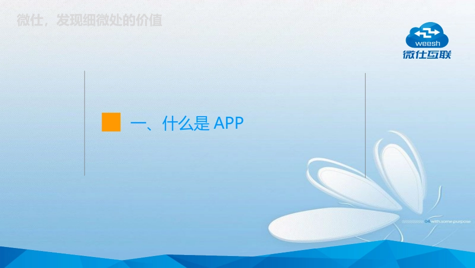 小程序APP定制开发运营推广方案_第3页