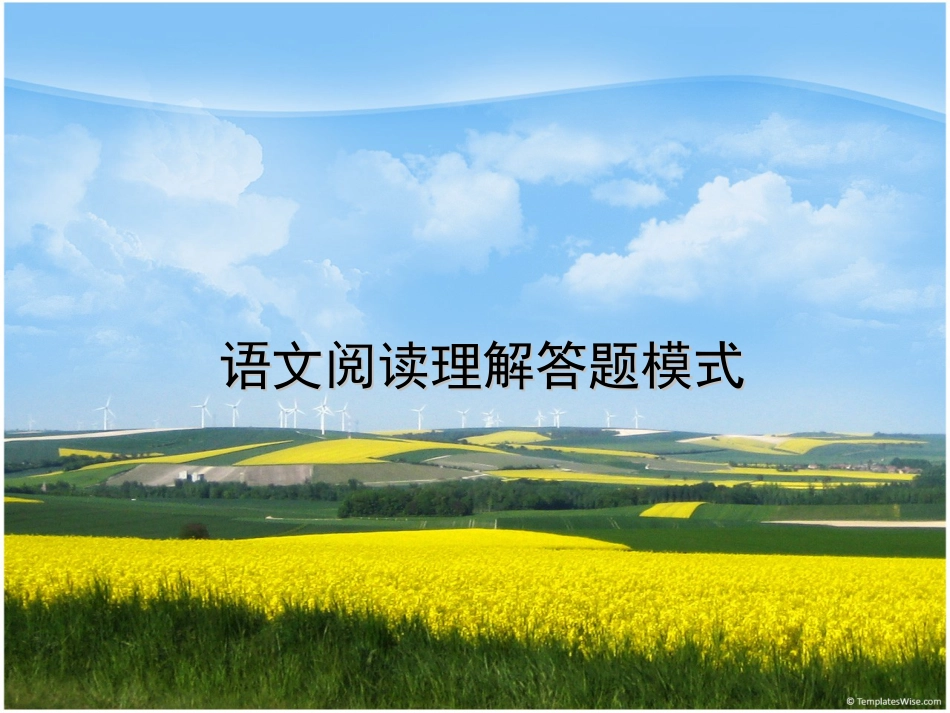 语文阅读理解答题模式[共51页]_第1页