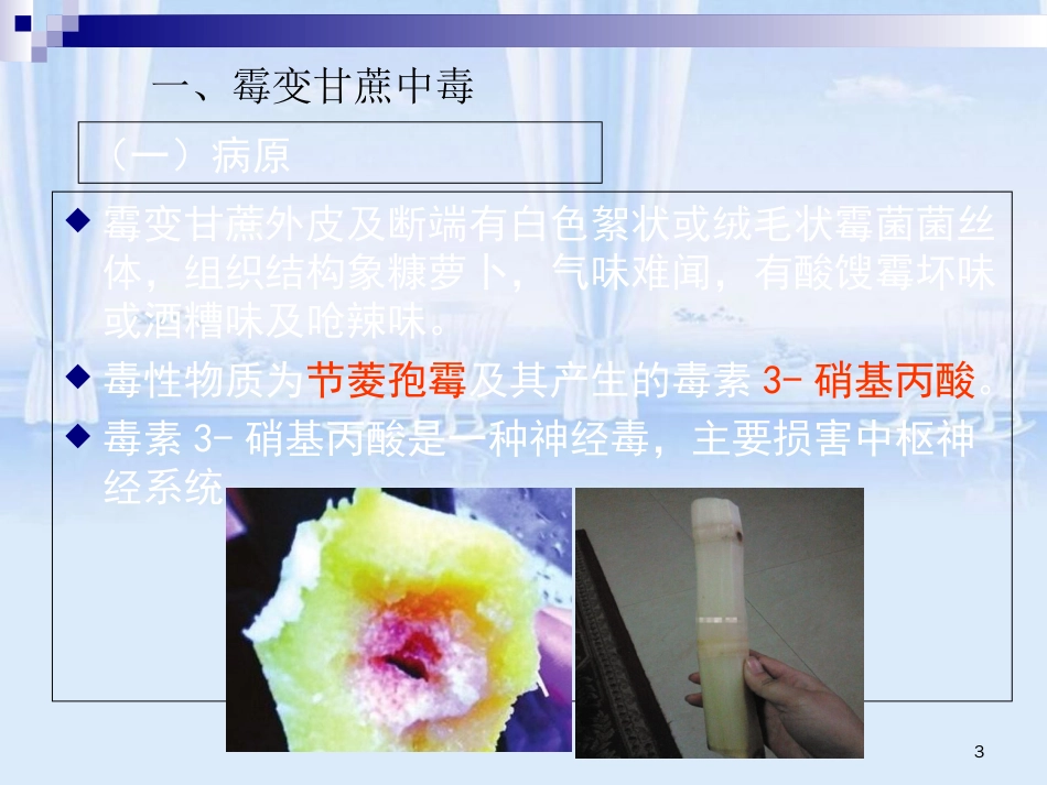 真菌性食物中毒_第3页