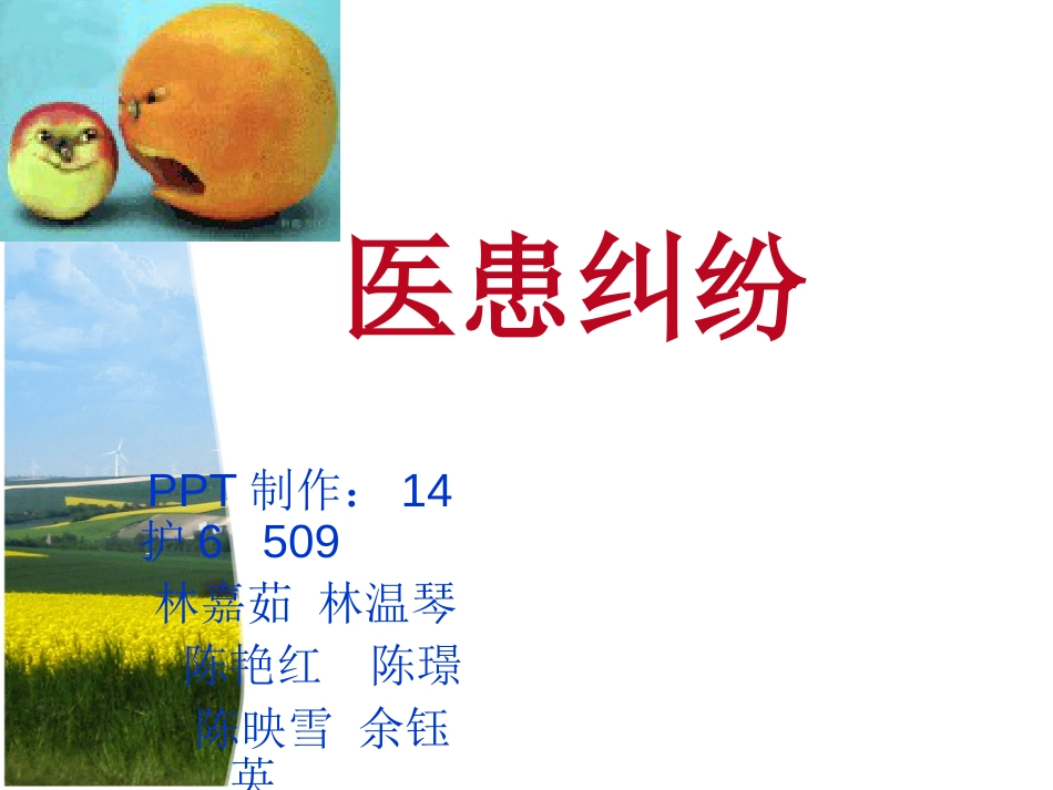 医疗纠纷ppt课件[共20页]_第1页