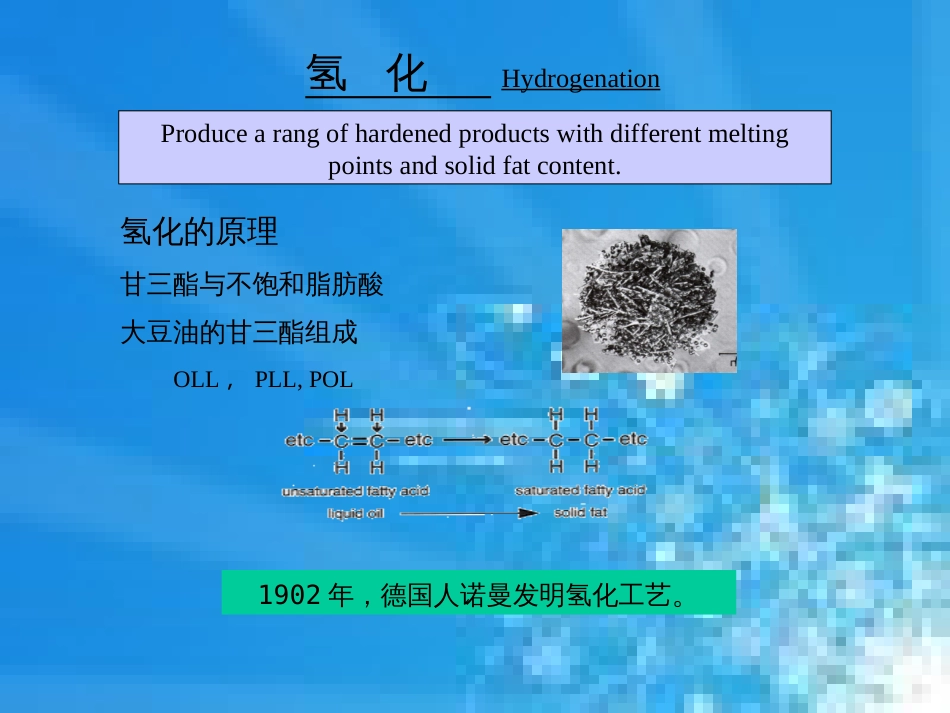 油脂加工与油脂知识[共41页]_第3页