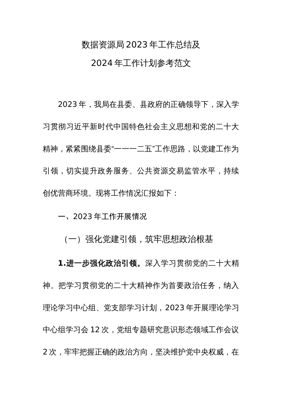 数据资源局2023年工作总结及2024年工作计划参考范文_第1页