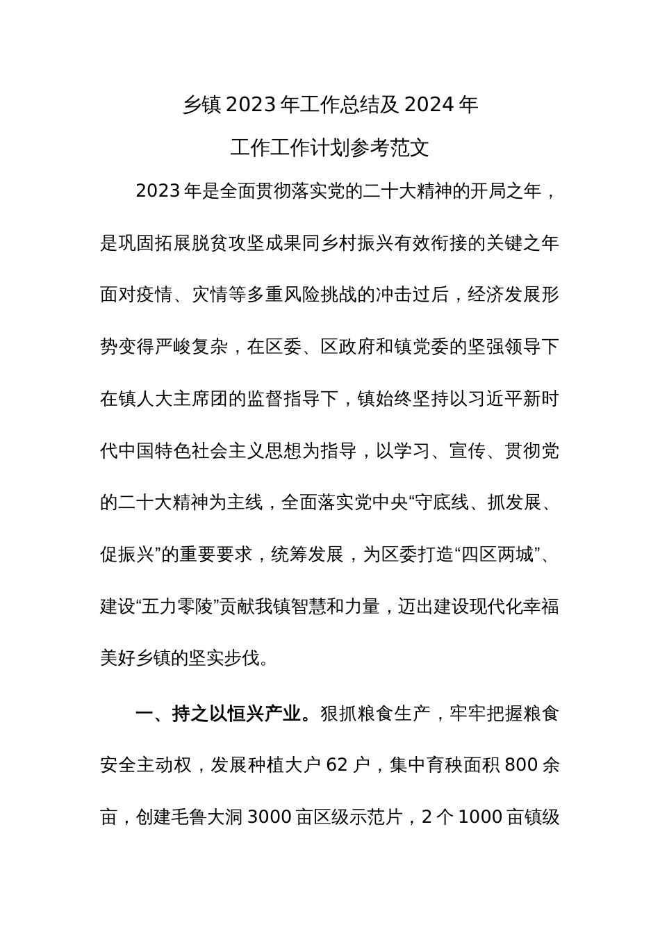 乡镇2023年工作总结及2024年工作工作计划参考范文_第1页