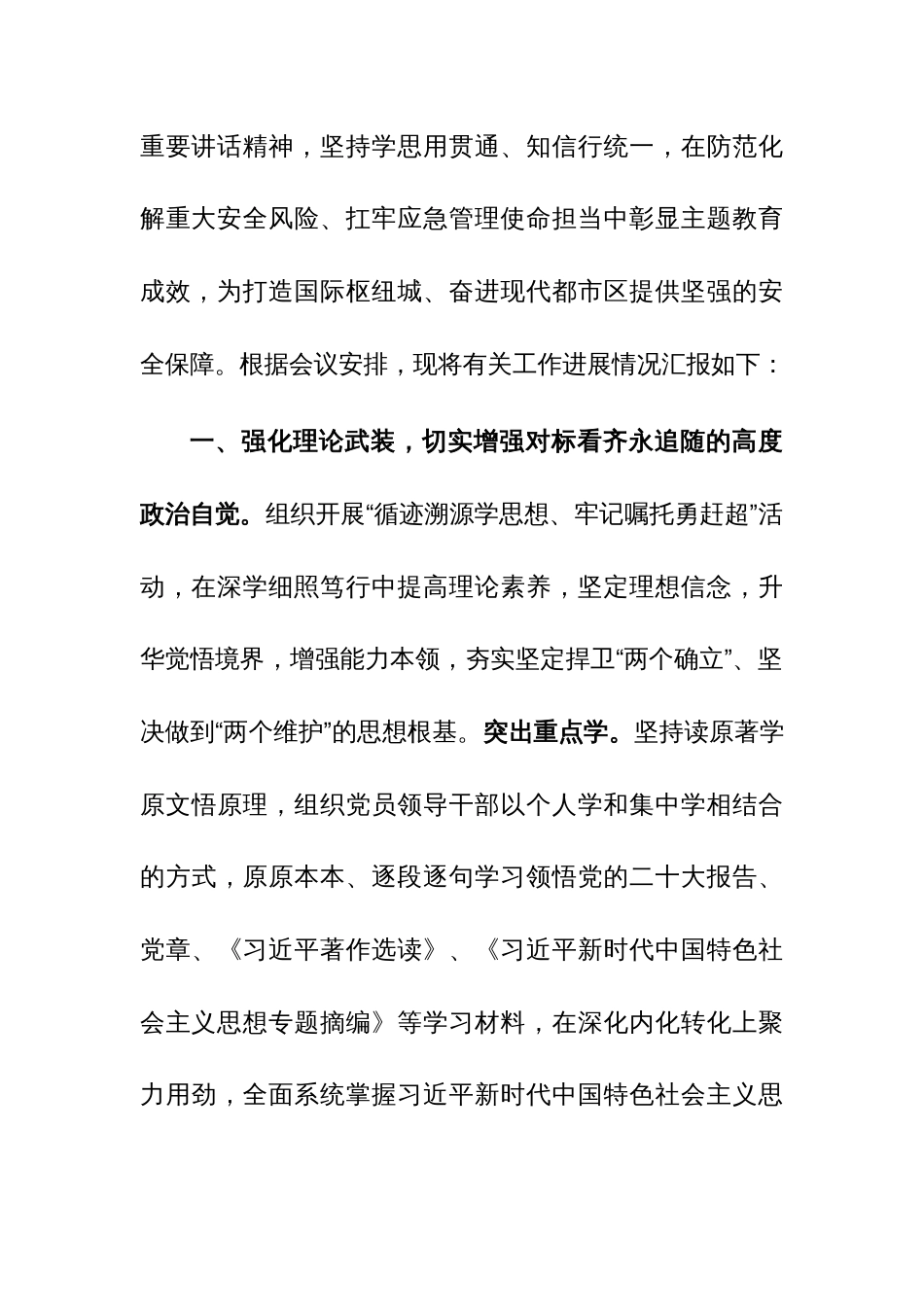 应急管理局在市委主题教育调研督导会上的汇报发言范文_第2页