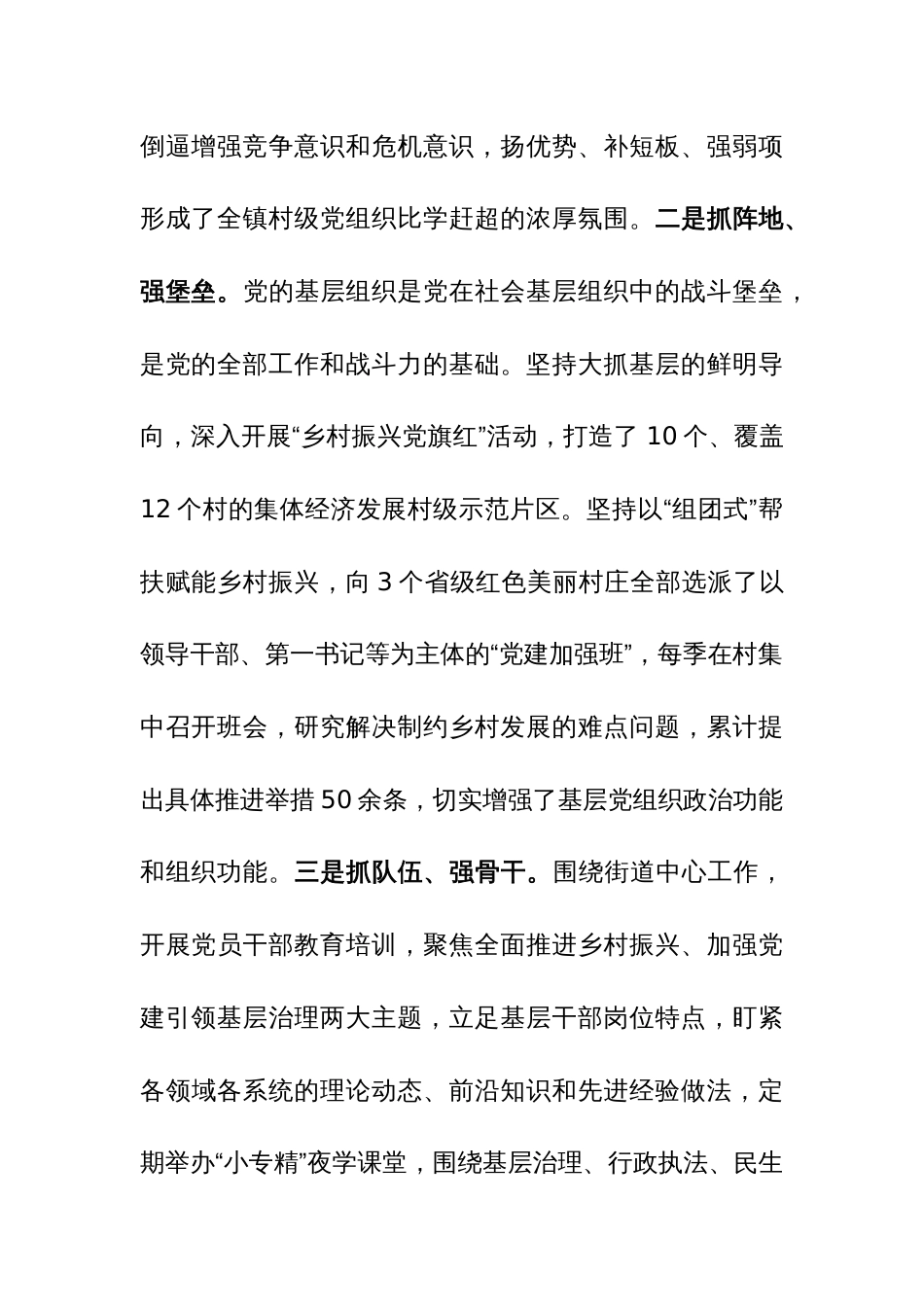 镇2023年工作总结及2024年工作计划参考范文_第2页