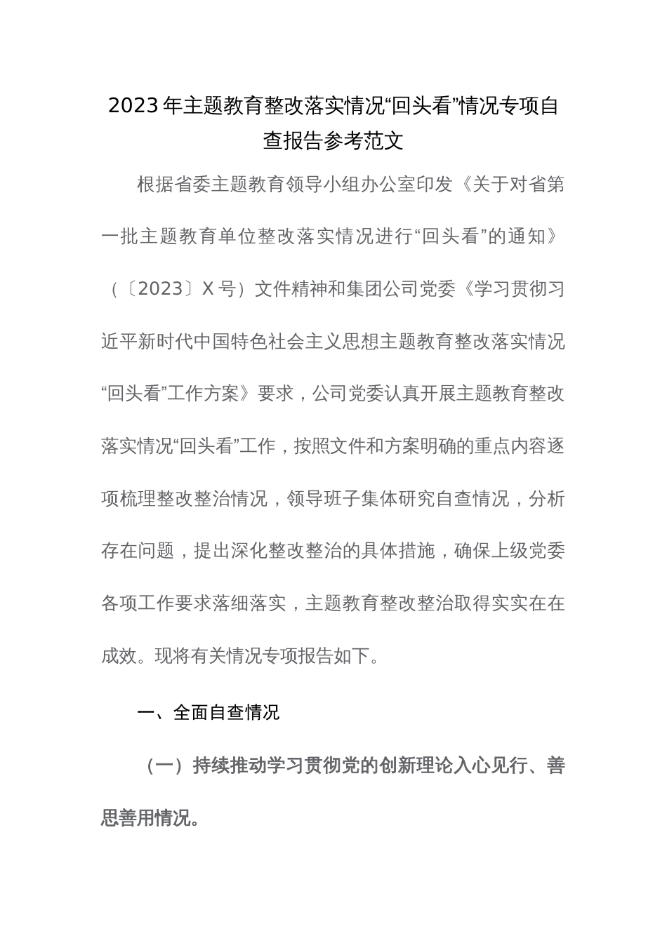 2023年主题教育整改落实情况“回头看”情况专项自查报告参考范文_第1页