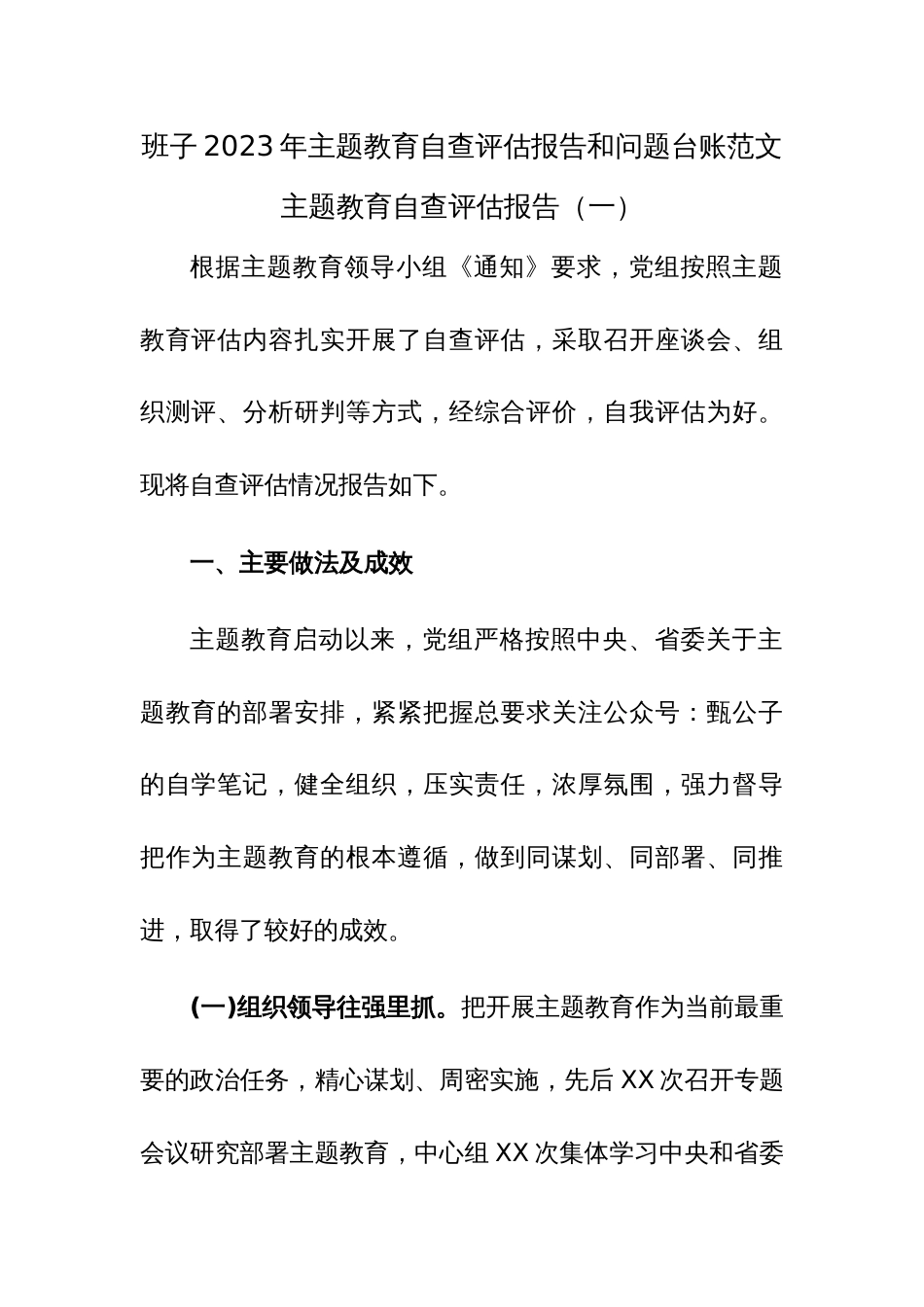 班子2023年主题教育自查评估报告和问题台账范文_第1页