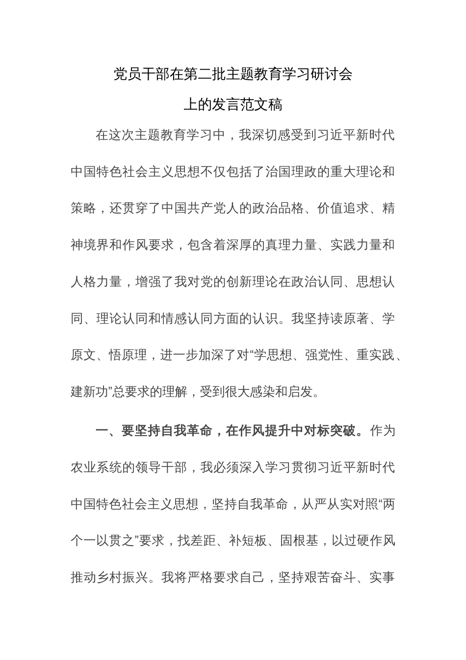 党员干部在第二批主题教育学习研讨会上的发言范文稿_第1页