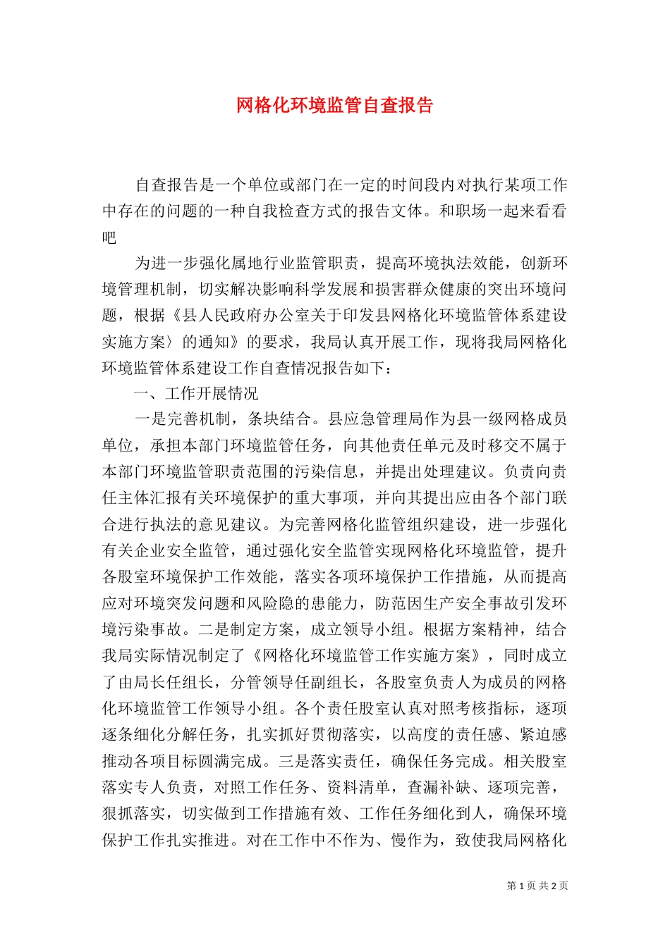 网格化环境监管自查报告_第1页