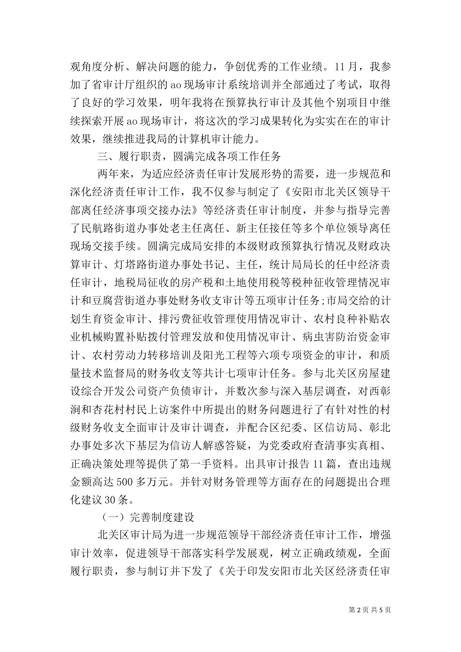 审计工作总结（九）_第2页