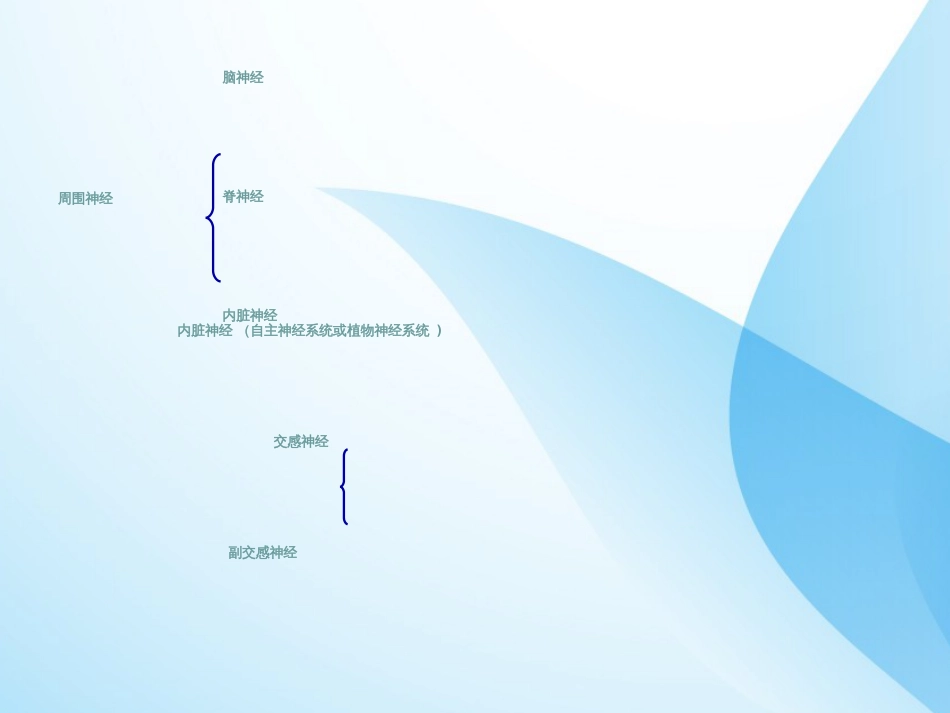 周围神经解剖ppt课件[共26页]_第2页