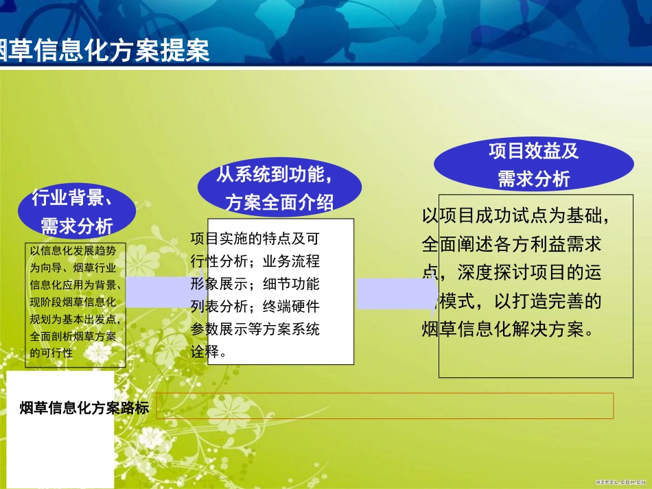 信息化系统烟草解决方案讲解_第2页