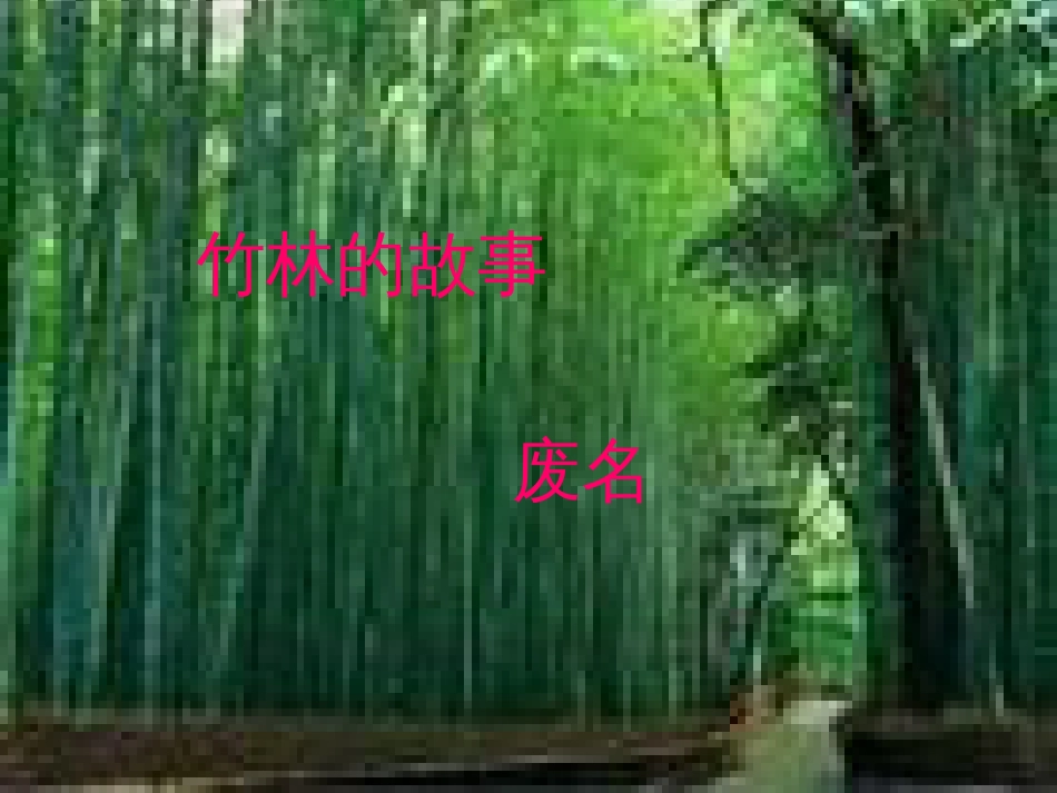 竹林的故事[共20页]_第1页