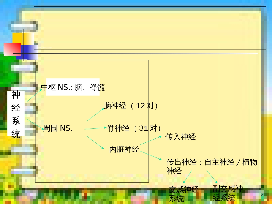 自主神经系统[共20页]_第2页