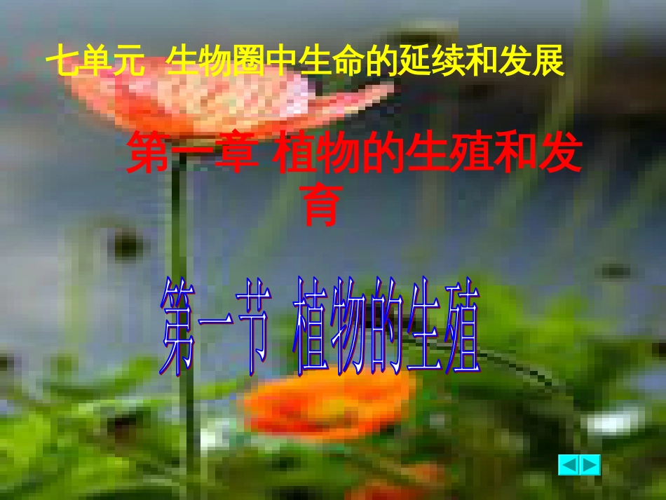 新人教版八年级生物下册植物的生殖课件[共36页]_第1页