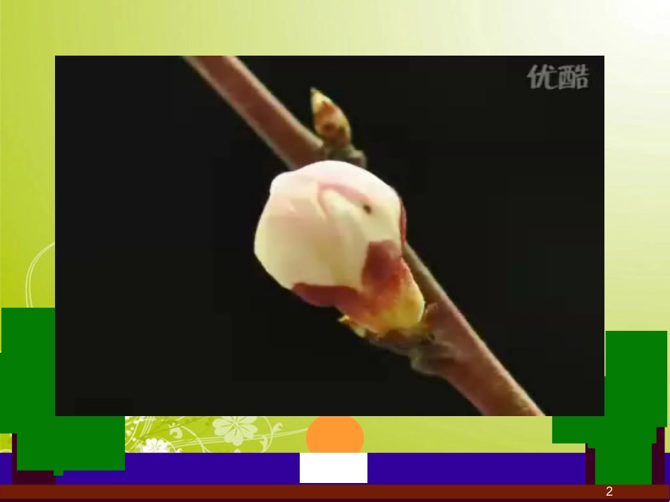 新人教版八年级生物下册植物的生殖课件[共36页]_第2页