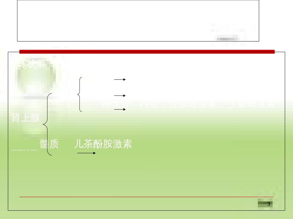 先天性肾上腺皮质增生症[共25页]_第3页