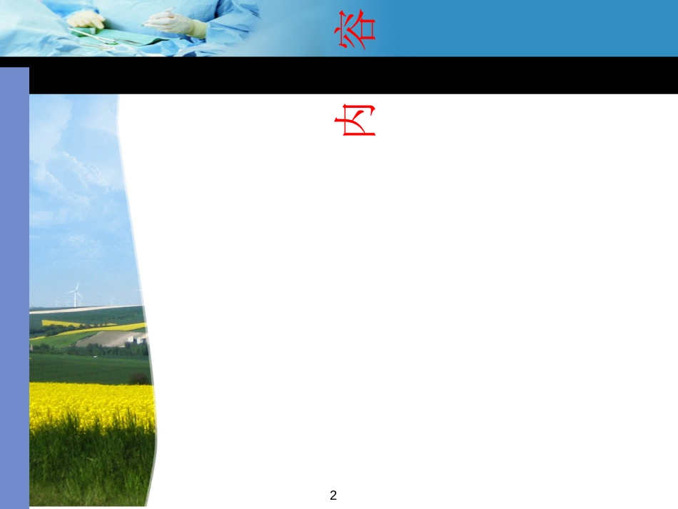 医疗质量与安全管理[共43页]_第2页