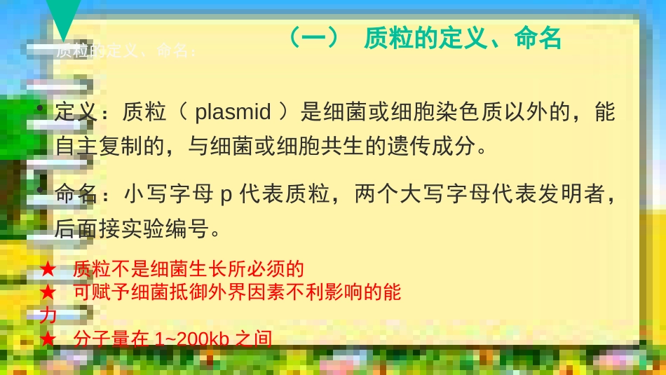 质粒载体的概况及构建_第3页