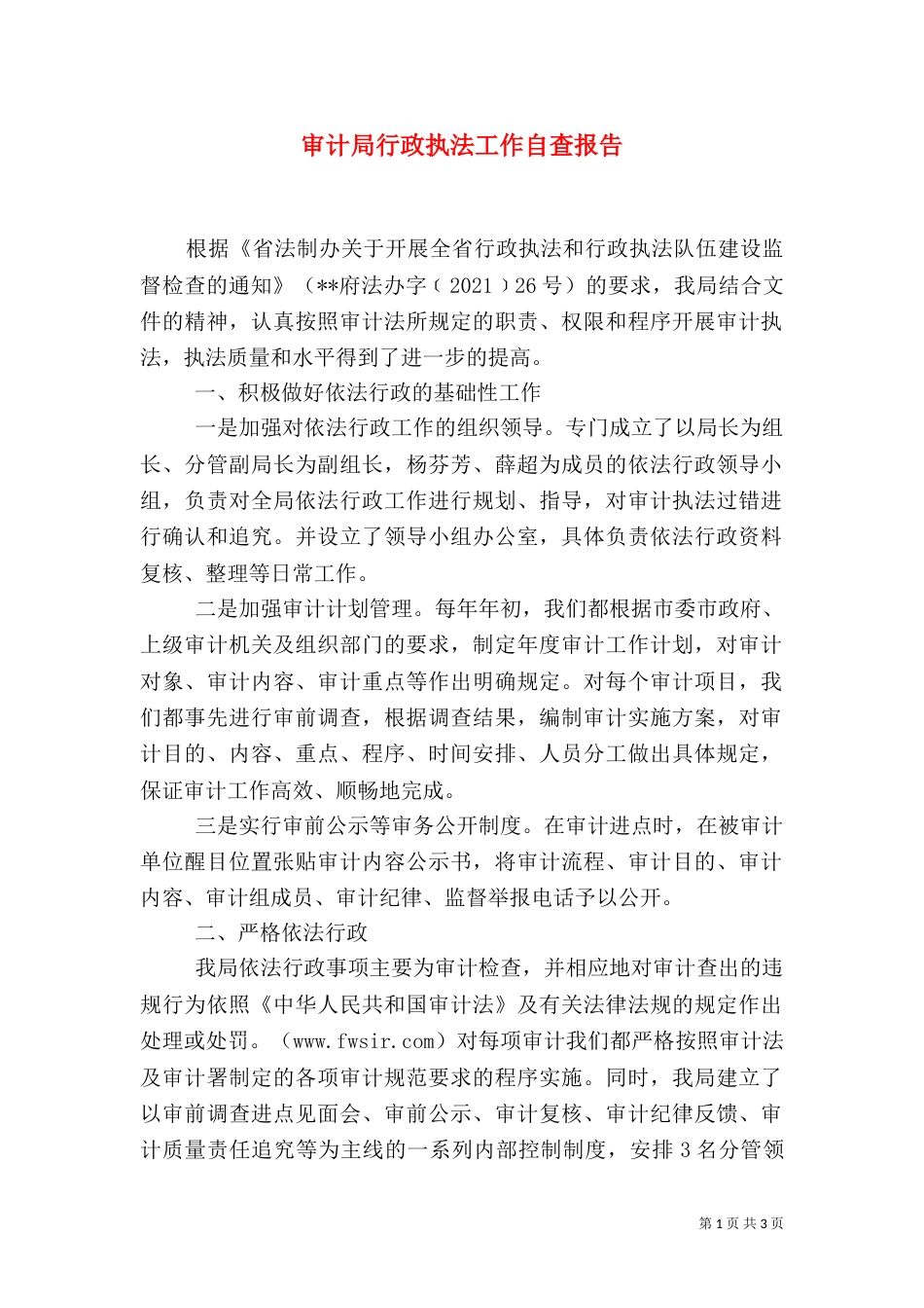 审计局行政执法工作自查报告（一）_第1页