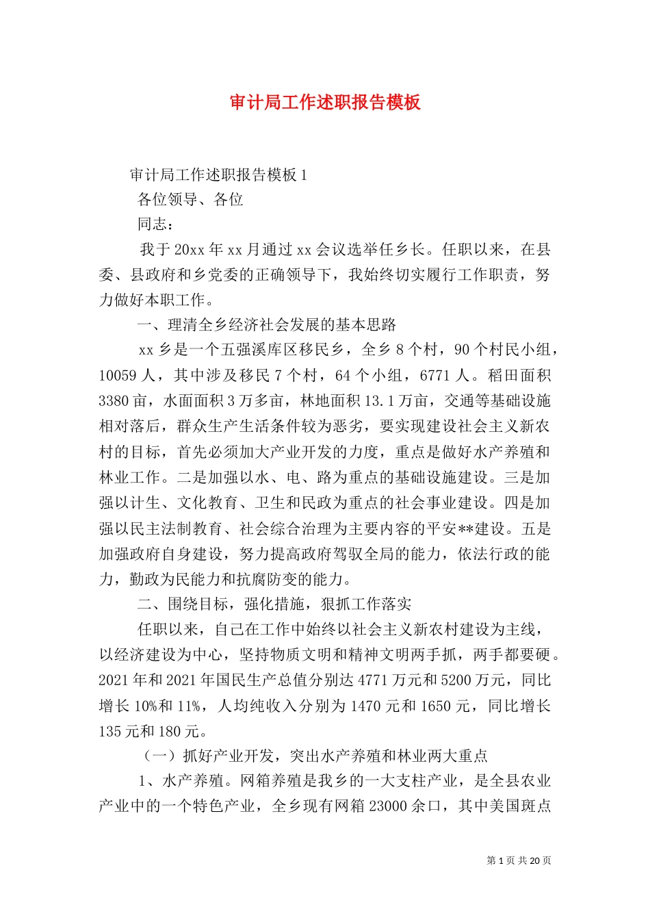审计局工作述职报告模板_第1页