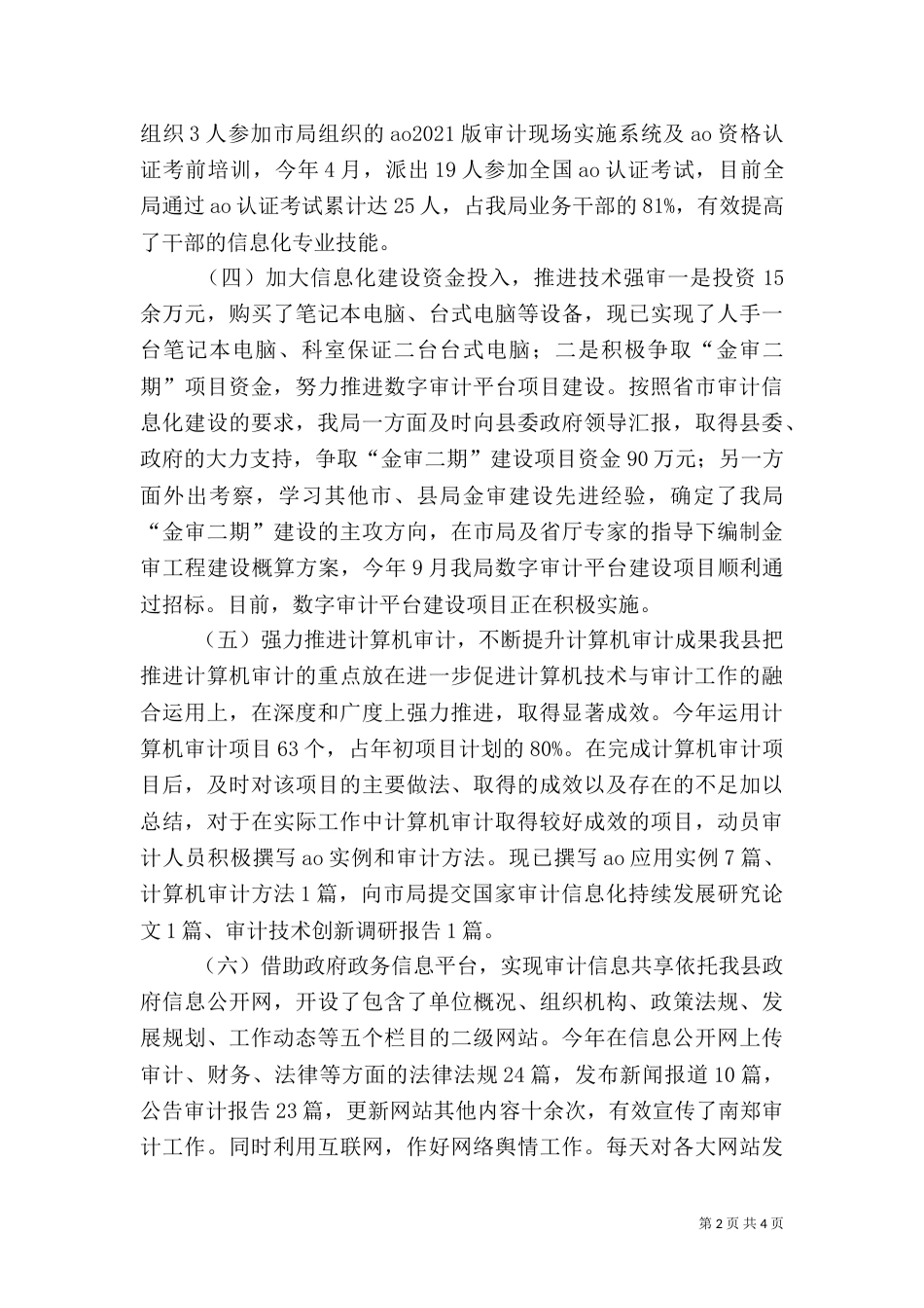 审计局审计信息化工作总结_第2页