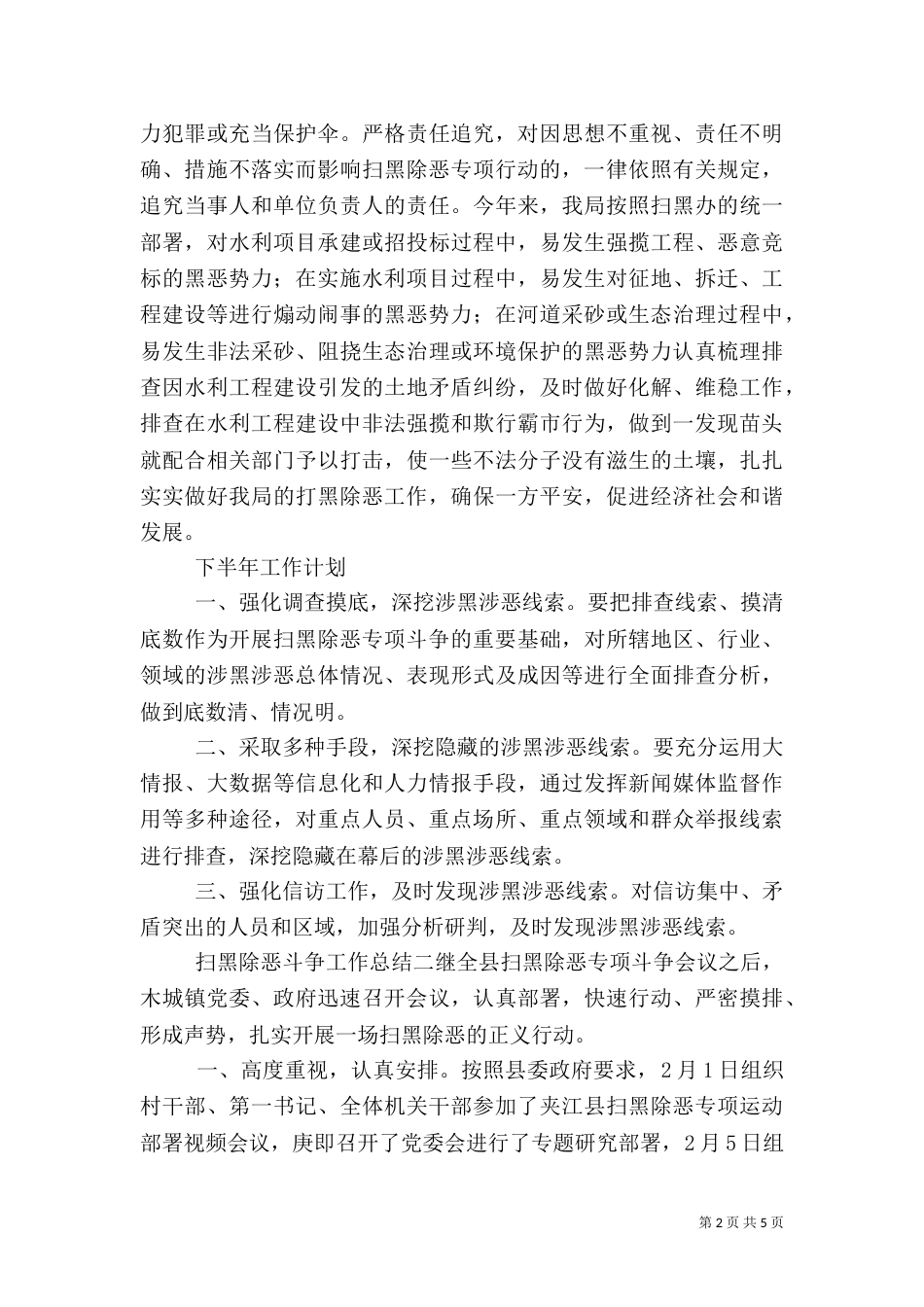 扫黑除恶斗争工作总结三篇_第2页