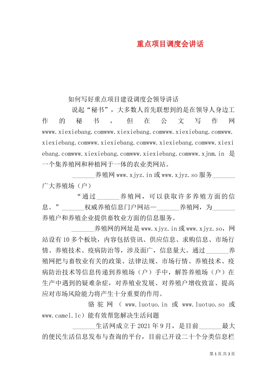 重点项目调度会讲话（四）_第1页
