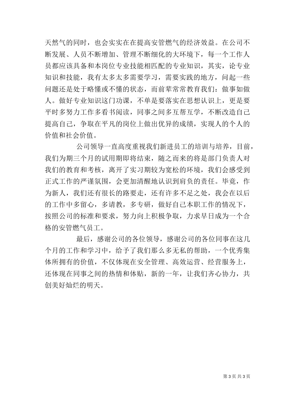 燃气公司实习期个人总结（七）_第3页