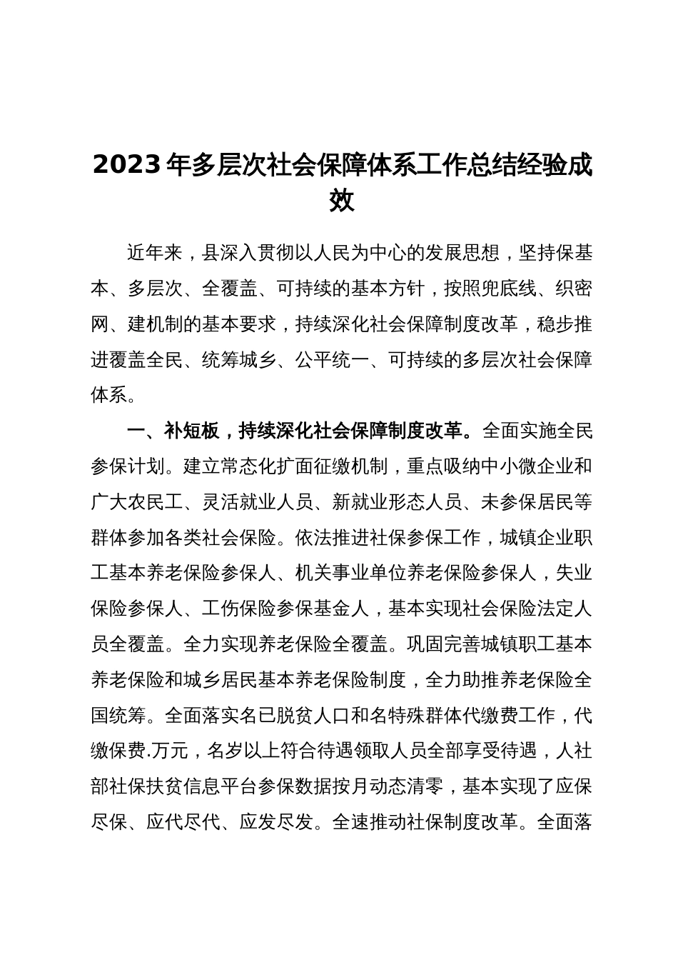 2023年多层次社会保障体系工作总结经验成效_第1页