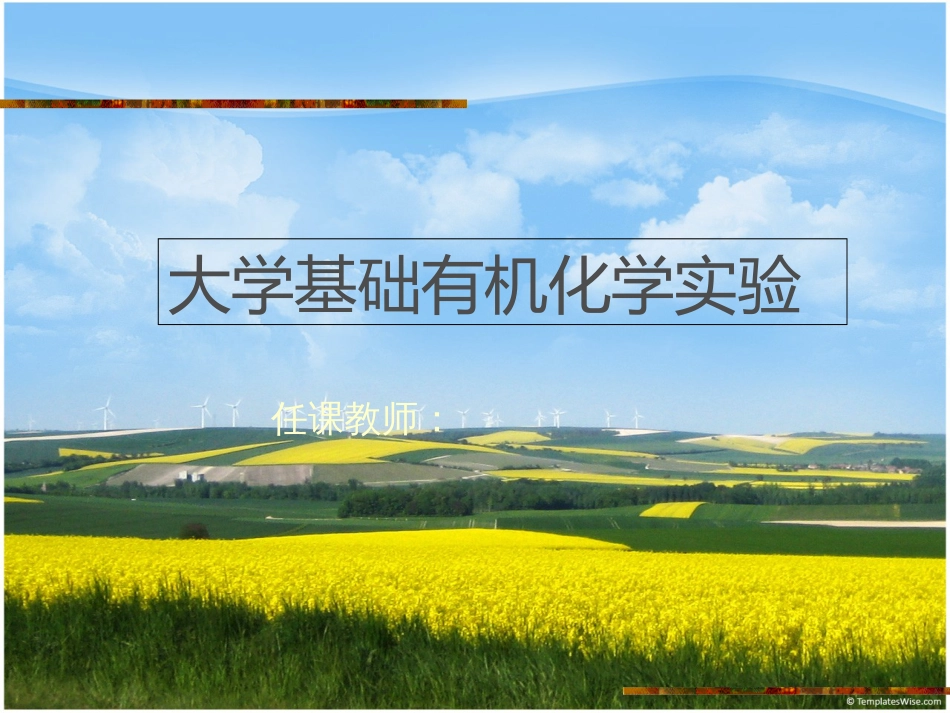 有机化学实验[共264页]_第1页