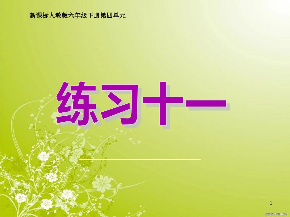 新人教版六年级下数学练习十一[共15页]_第1页