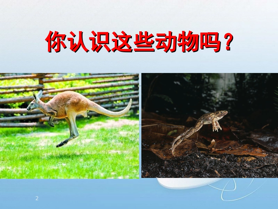 小学体育PPT课件《水平二立定跳远》[共14页]_第2页