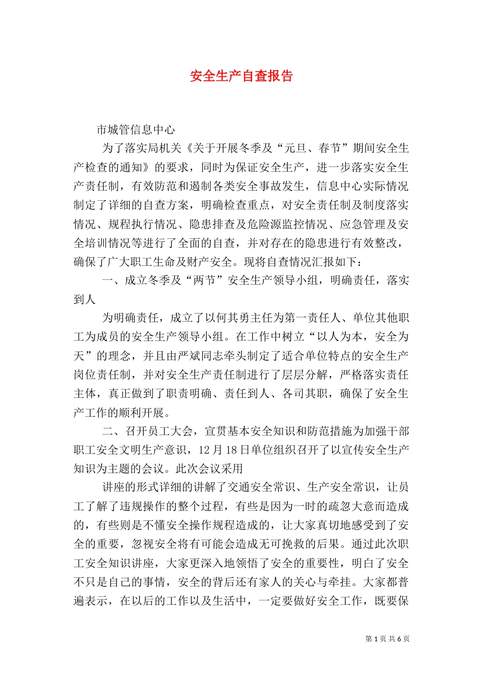 安全生产自查报告（二）_第1页