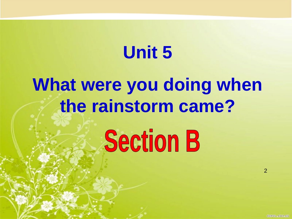 新教材Unit-5What-were-you-doing-when-the-raistorm-came-P3[共61页]_第2页