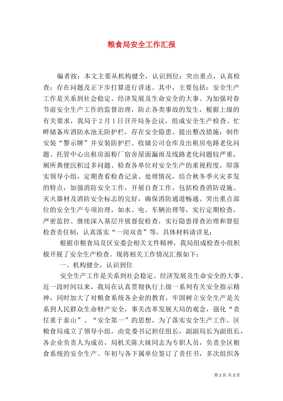 粮食局安全工作汇报_第1页
