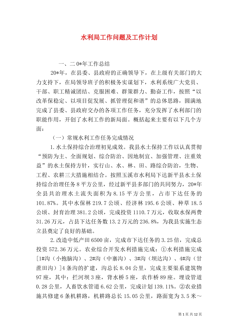 水利局工作问题及工作计划_第1页