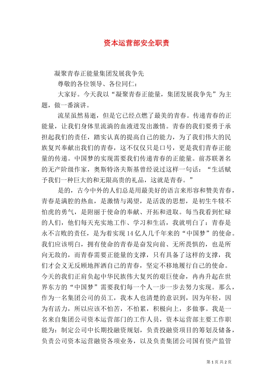 资本运营部安全职责（三）_第1页