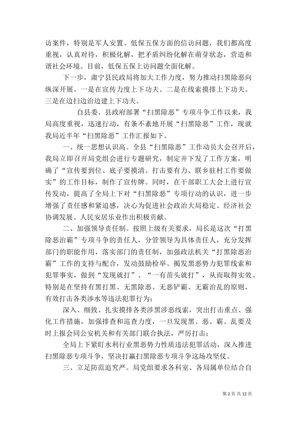 扫黑除恶专项斗争工作情况总结_第2页