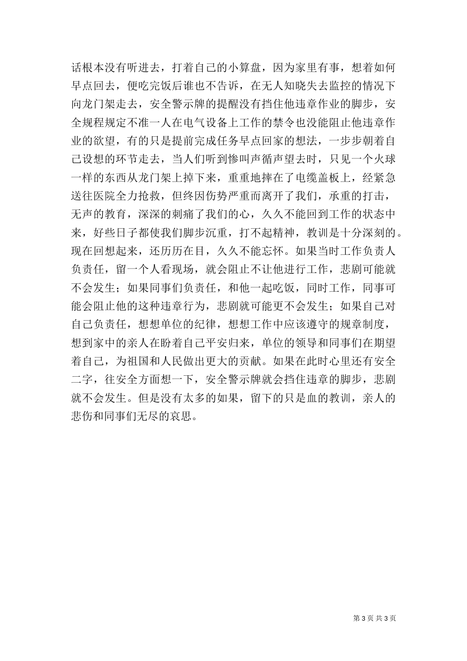 电力安全生产演讲稿（二）2_第3页
