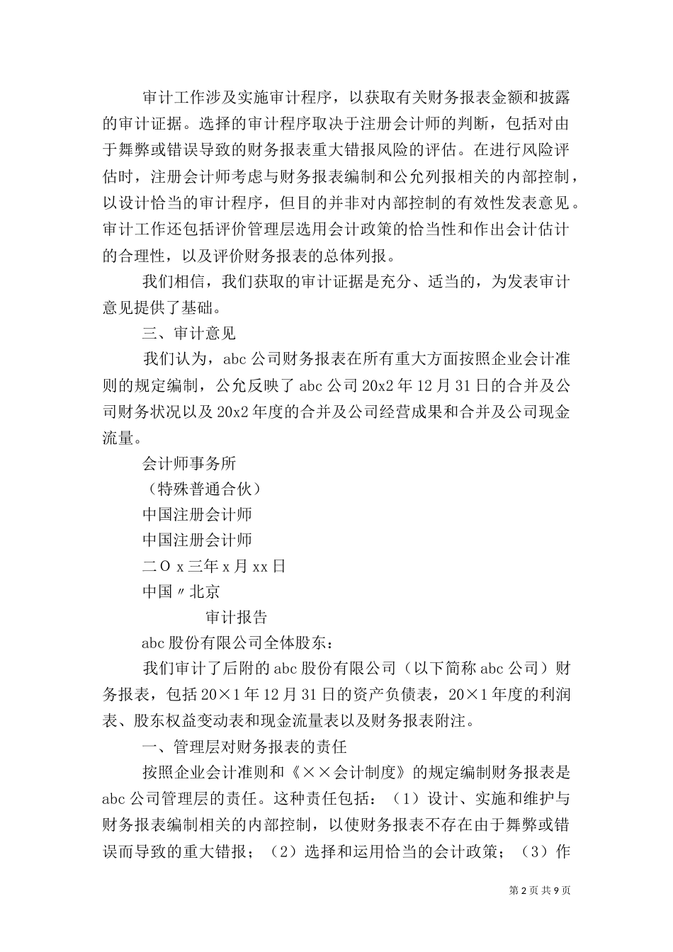 标准审计报告（一）_第2页