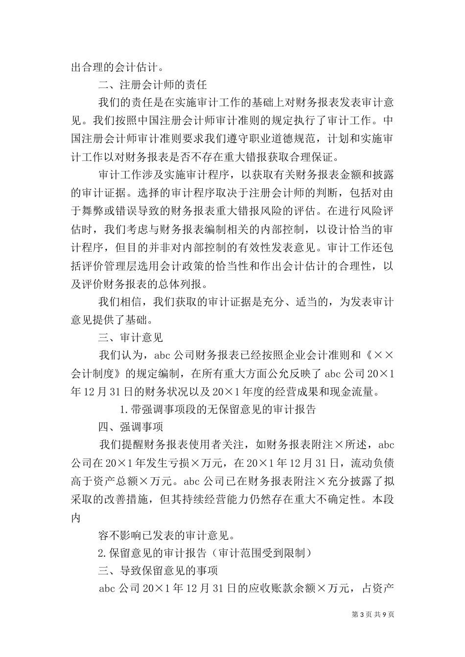 标准审计报告（一）_第3页